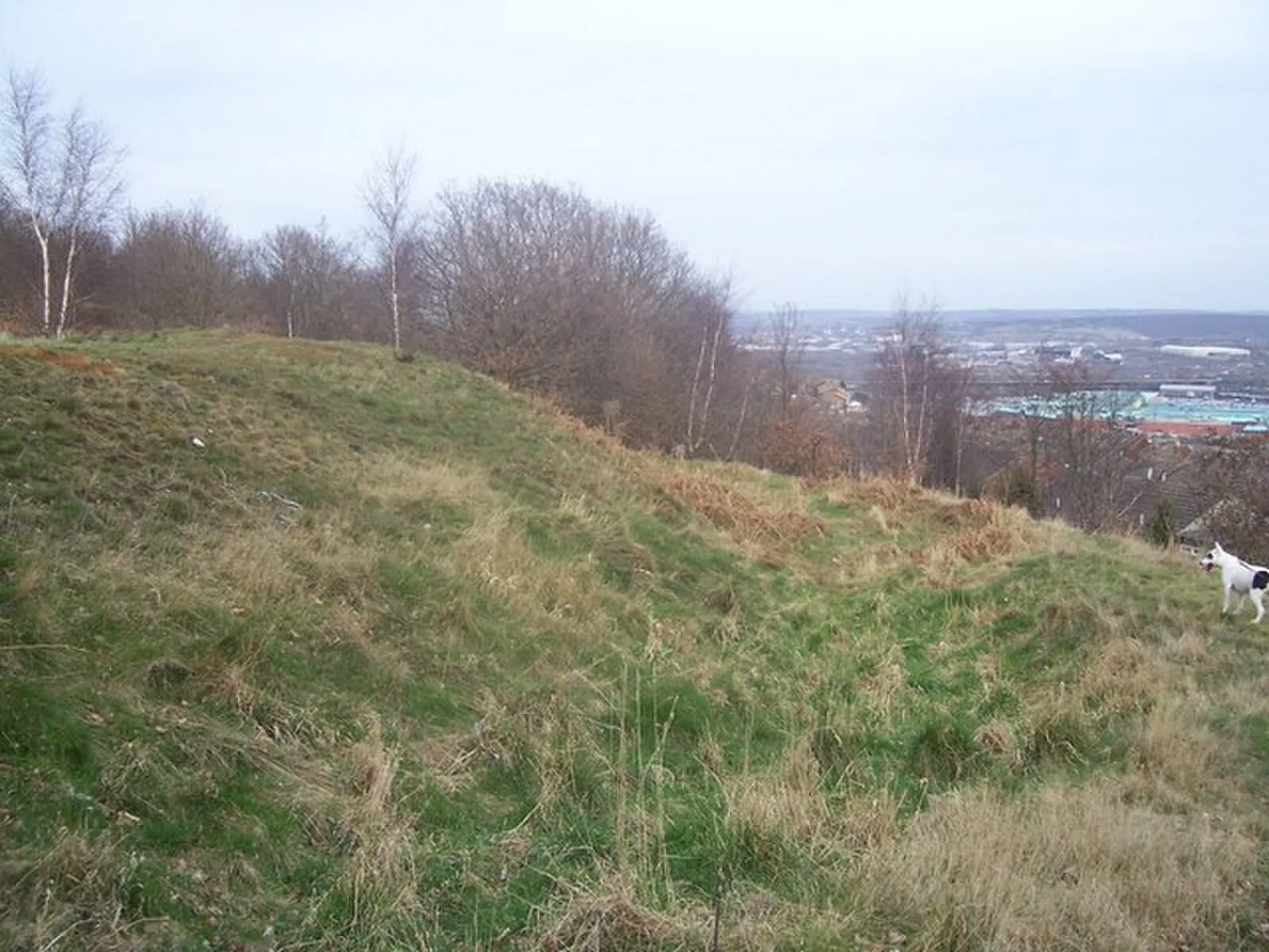 Wincobank - Hill Fort